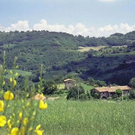 Il Tempio Delle Api Morleschio